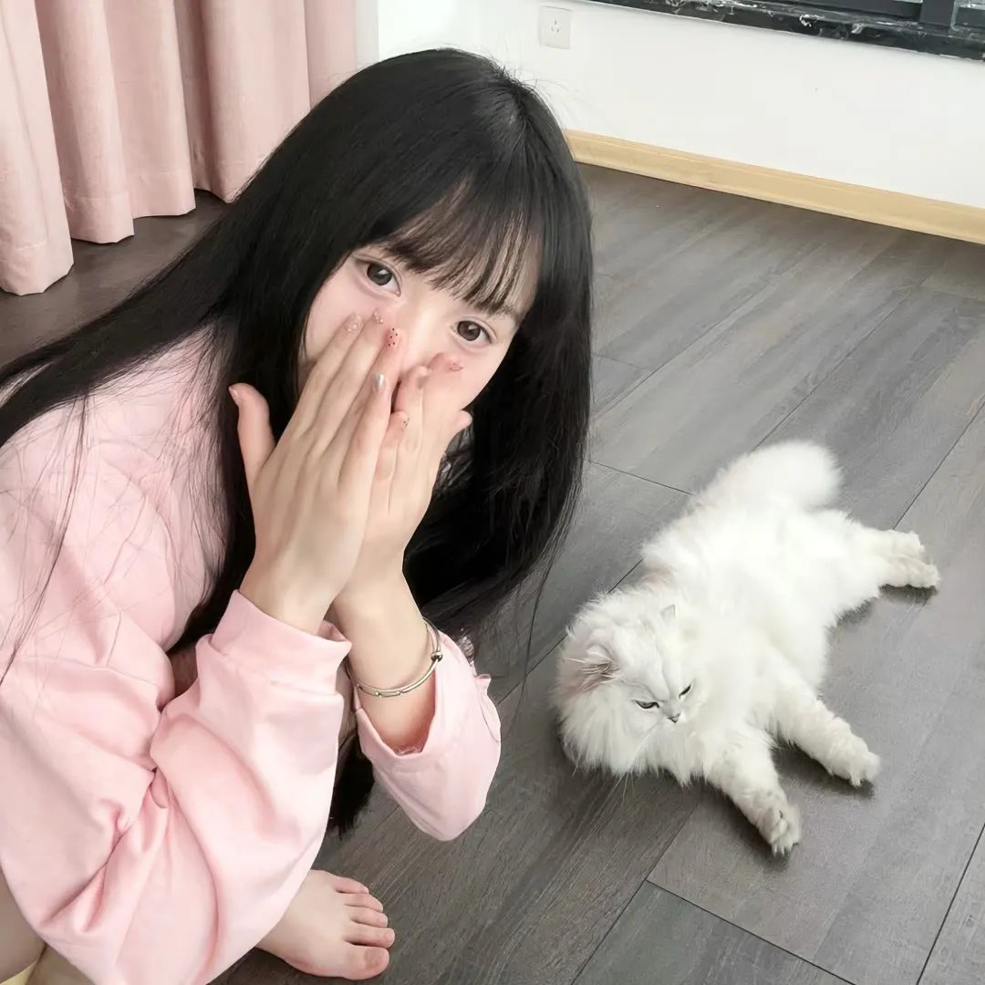 宝莲历险记